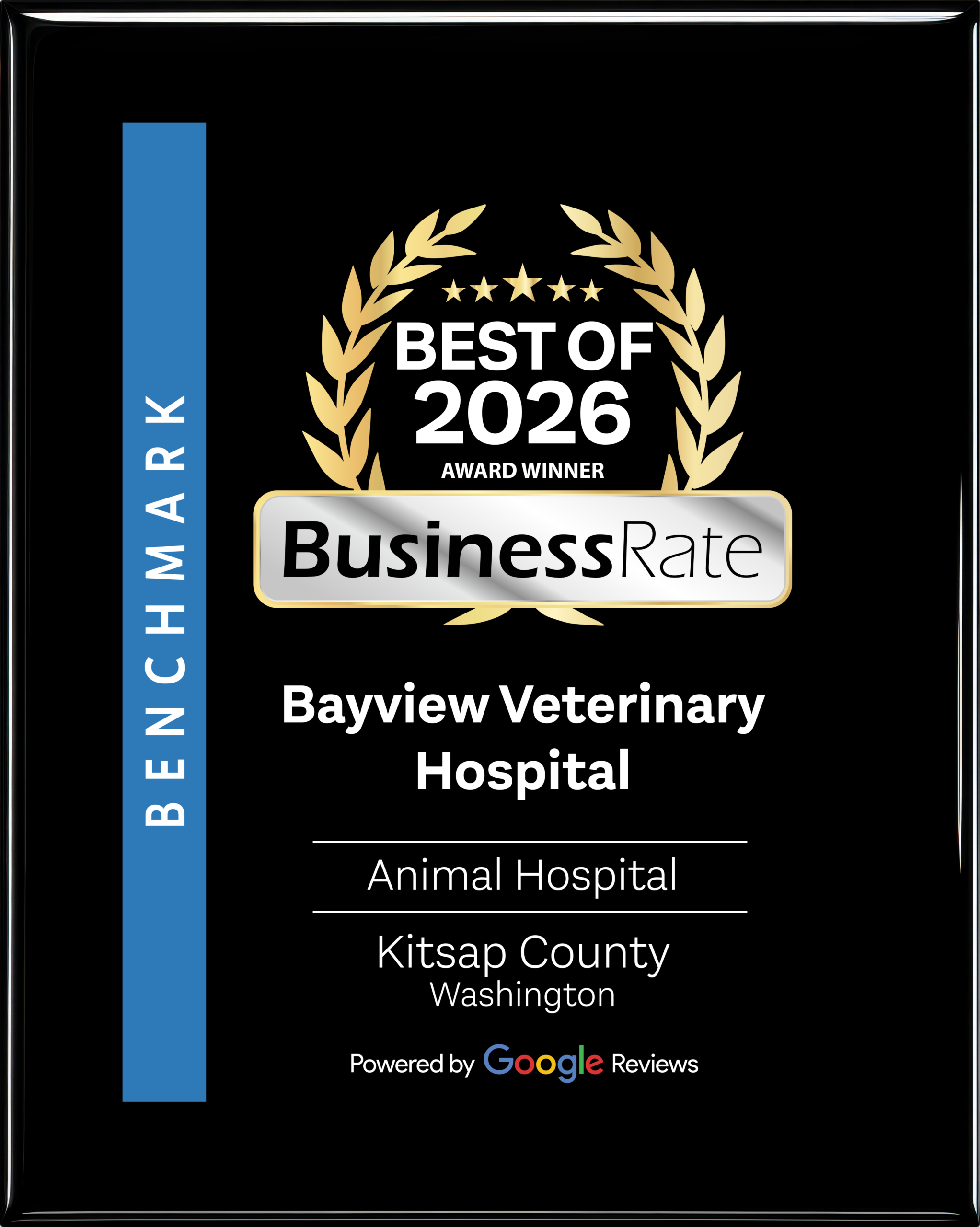 award-plaque-BR594450